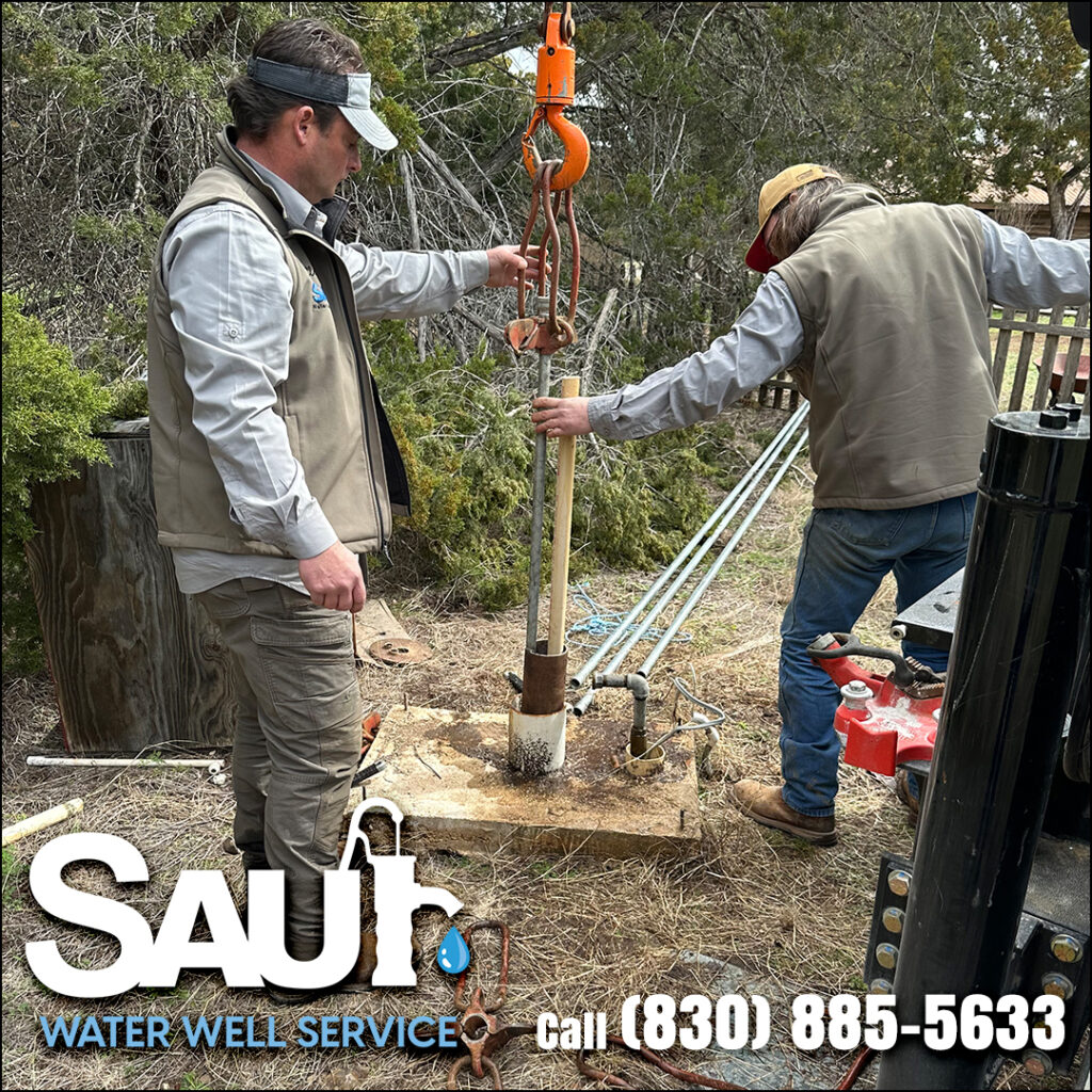 6_Feb-Saur-1080x1080